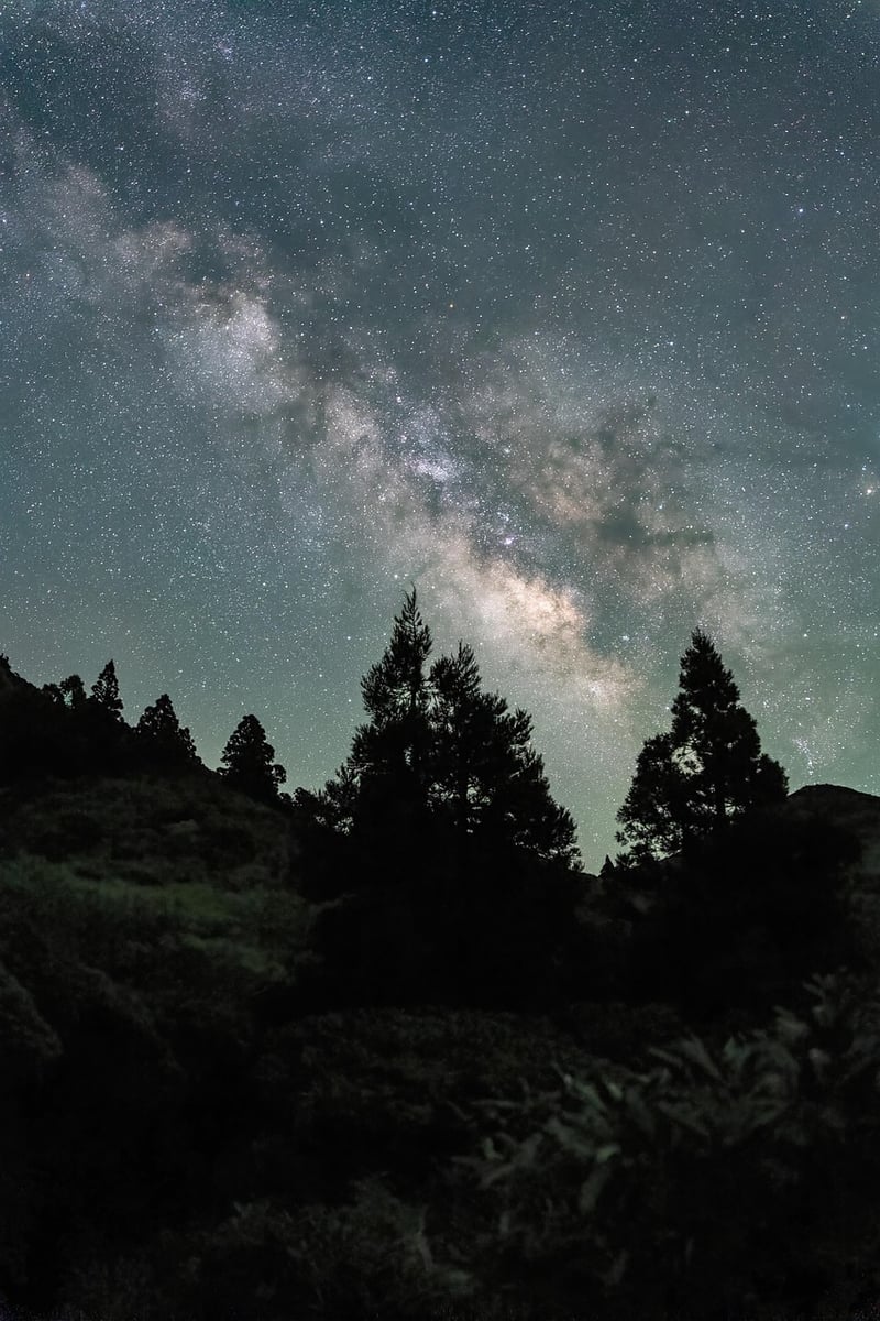 Galactic Exploration